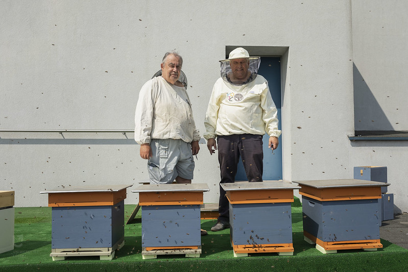 Beekeepers standing next to the hives