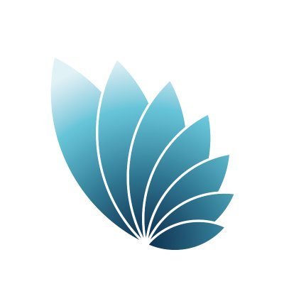 EU Cyber Direct logo