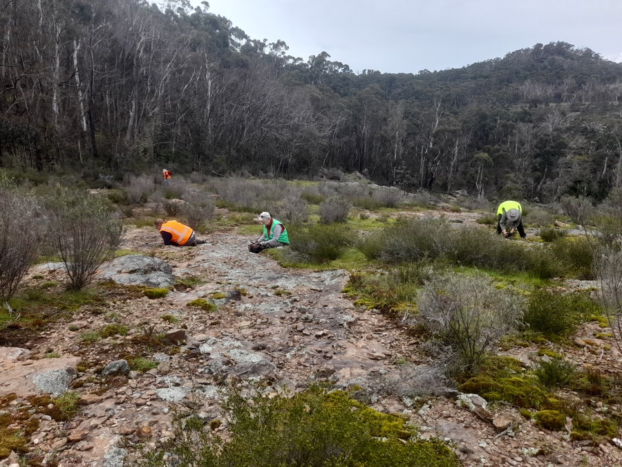 Scientists during research in Australia