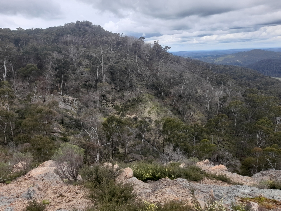 Mount Canobolas